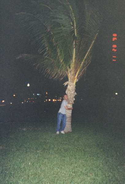 Maimi_Tree